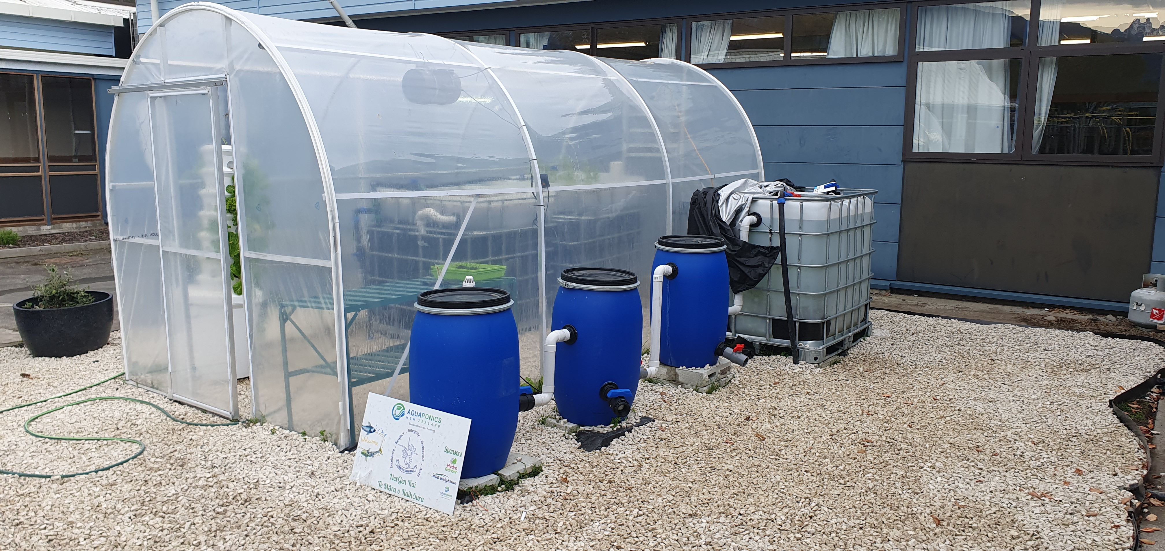 A vibrant aquaponics system with lush green plants and clear water.